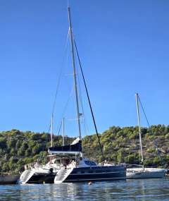 Alliaura Privilege 585