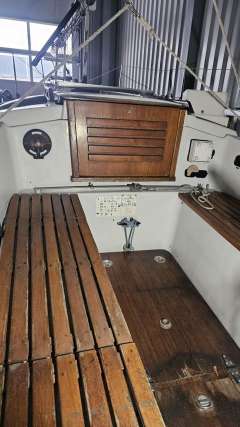 Neptun 25