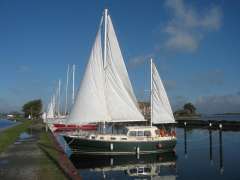Colvic 31