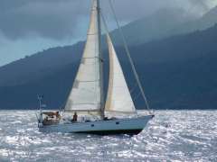 Koopmans 40 Segelyacht