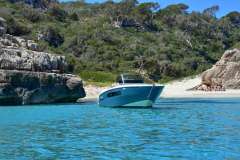Invictus CX 280