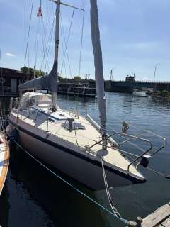 Granada 31