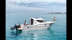Sessa Dorado 26 Pilothouse