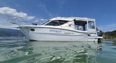 Sessa Dorado 26 Pilotina