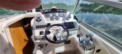 Sea Ray Sundancer 305