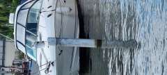 Sea Ray Sundancer 305