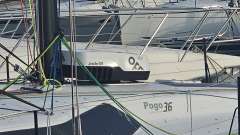 Pogo 36 Segelyacht