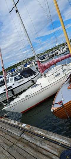 Albin Accent 26