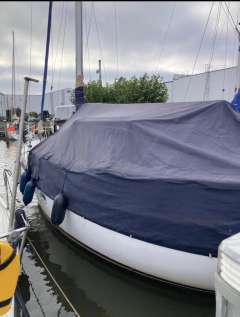 Dartsailer 30