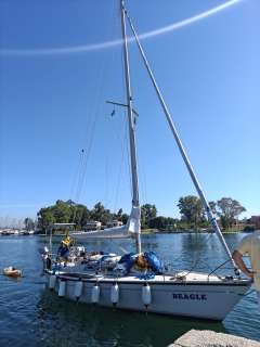 Dehler 34 Top Nova