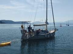 Dehler 34 Top Nova
