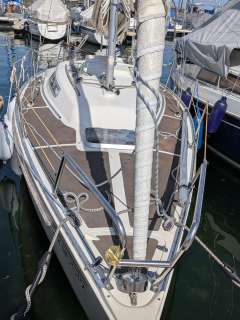 Larsen 25