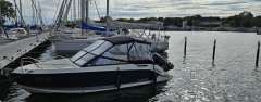 Quicksilver Activ 675 Bowrider