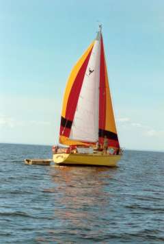 Wibo van Wijk Wibo 930 Sailing yacht