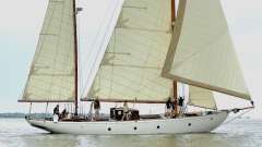 Cantiere Navale Postiglinio San Domenico 0