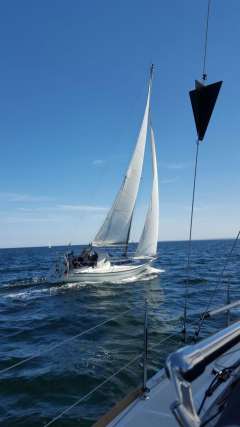 Dehler 32 Comfort
