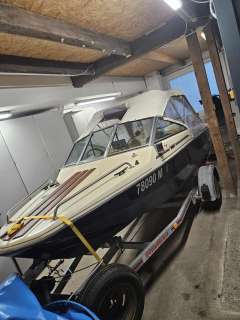 Hellwig Triton TS