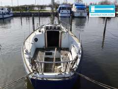 Martin 29