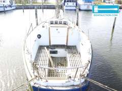 Martin 29