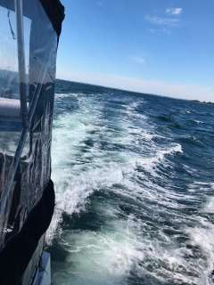 Ocean Alexander 39