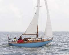Sparkman and Stephens Shaw 24