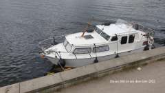 Delta Cruiser