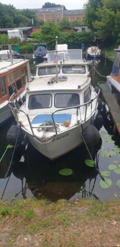 Delta Cruiser