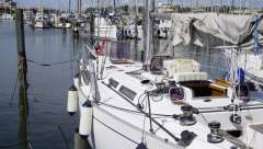 Jeremy Rogers Contessa 43