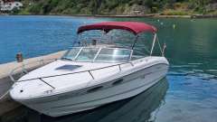 Sea Ray 230 OV