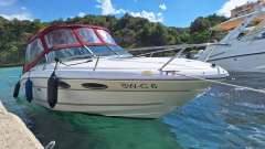 Sea Ray 230 OV