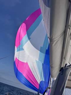 Finngulf 44