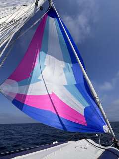 Finngulf 44