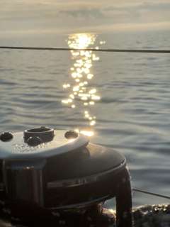 Finngulf 44
