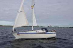 Maxi 84