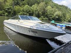 Sea Ray 200 Cuddy Cabin