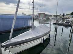 Bavaria 36 C