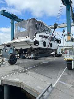 Bavaria S36 HT