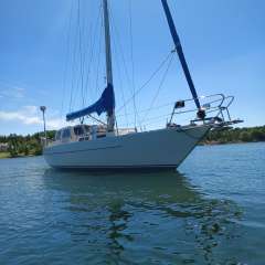 OE 38- DS Bluewater yacht