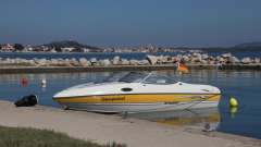 Stingray 195 CX