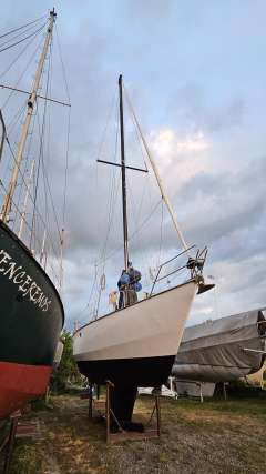 Van de Stadt Wibo 1100