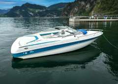 Wellcraft Eclipse 210 Sportboot