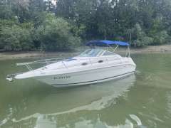 Sea Ray 250 DA Sundancer Sportovní loď