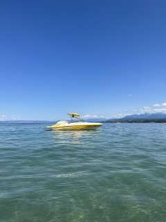 Rinker 226 Captiva BR Bowrider