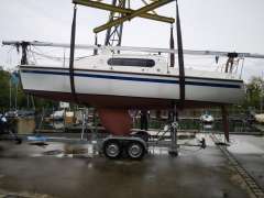 Azuree 27