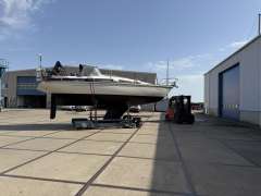 Widholms Beason 31