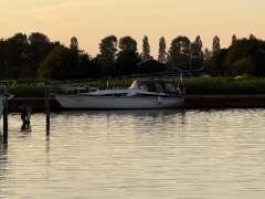 Widholms Beason 31