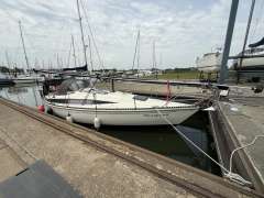 Widholms Beason 31