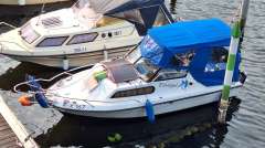 Picton Mardi Gras 180