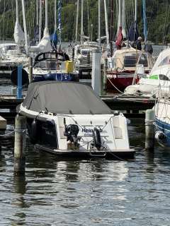 Maxima 600