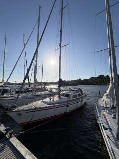 Olsen 38 Decksalon